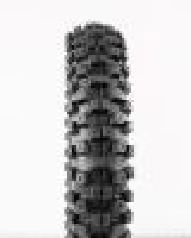 ProTaper 023321