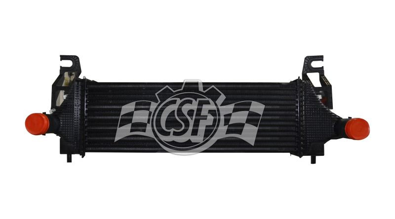 CSF 6066