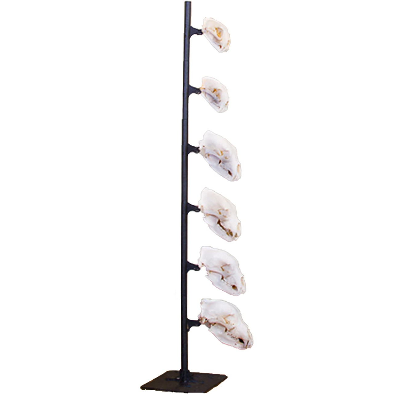 Skull Hooker SKH-TT-ASSY-BLK