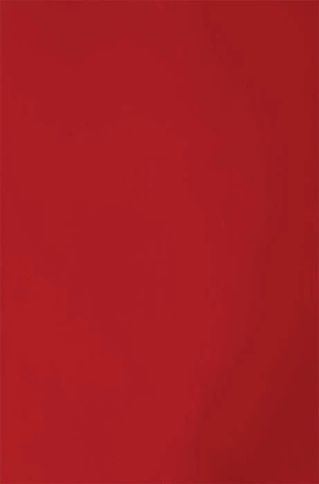 Dirt Digits BG3RED