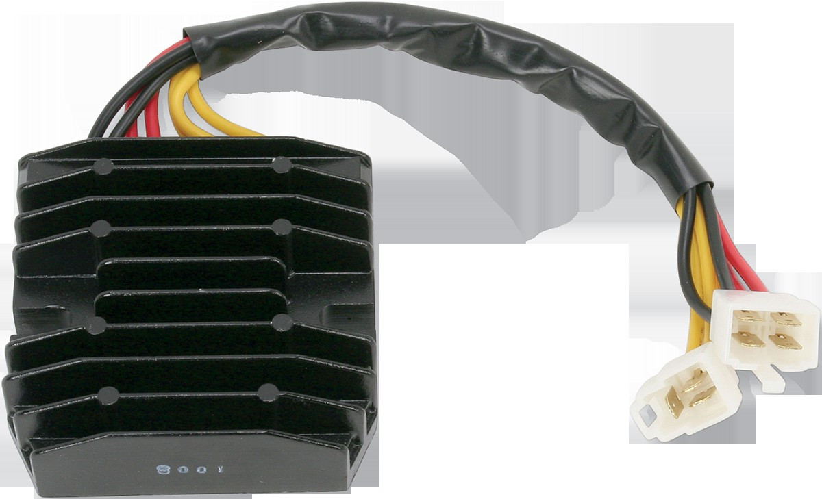 Ricks Motorsport Electrics 10-125H