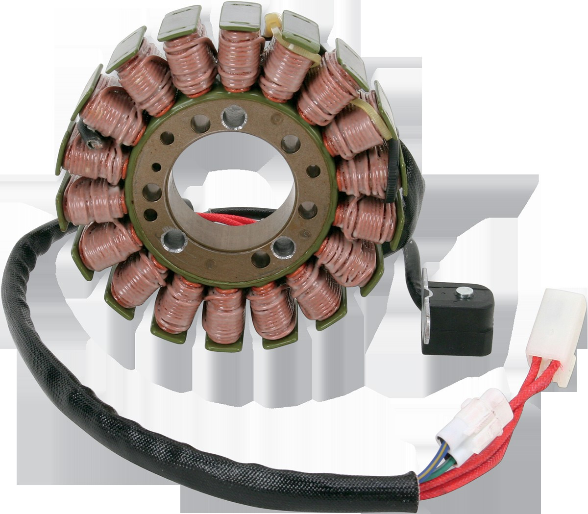 Ricks Motorsport Electrics 21-012