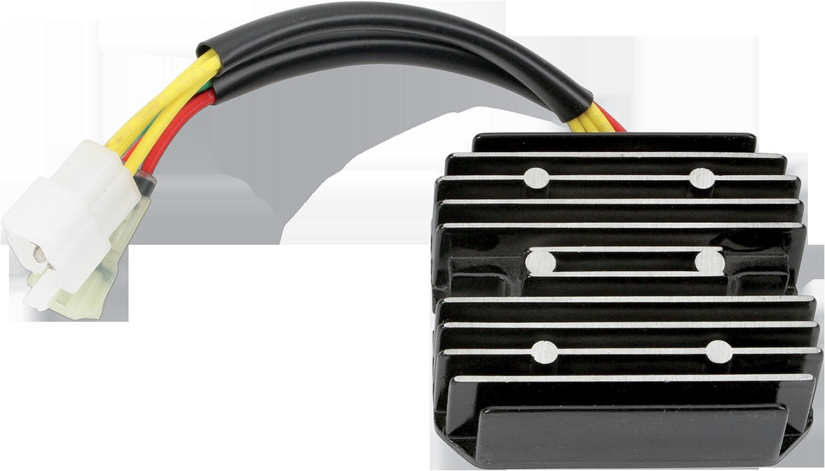 Ricks Motorsport Electrics 10-243