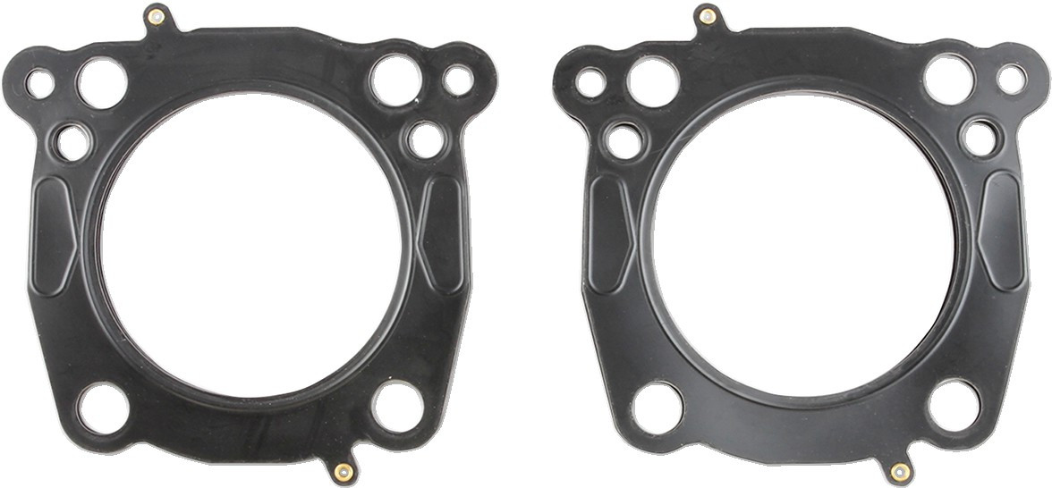 Cometic Gaskets C10181