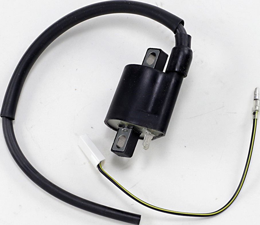Ricks Motorsport Electrics 23-301