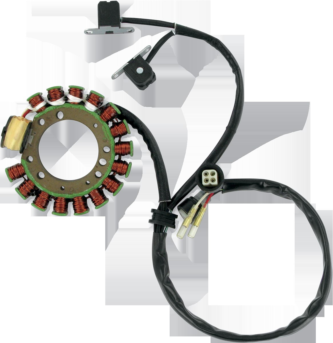 Ricks Motorsport Electrics 21-900