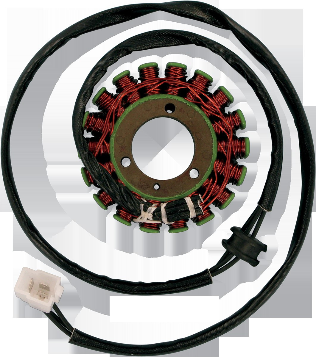 Ricks Motorsport Electrics 21-310