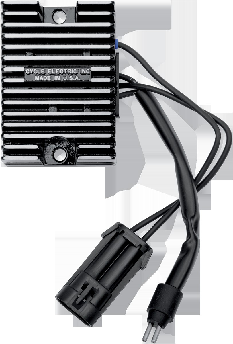 Cycle Electric CE-210