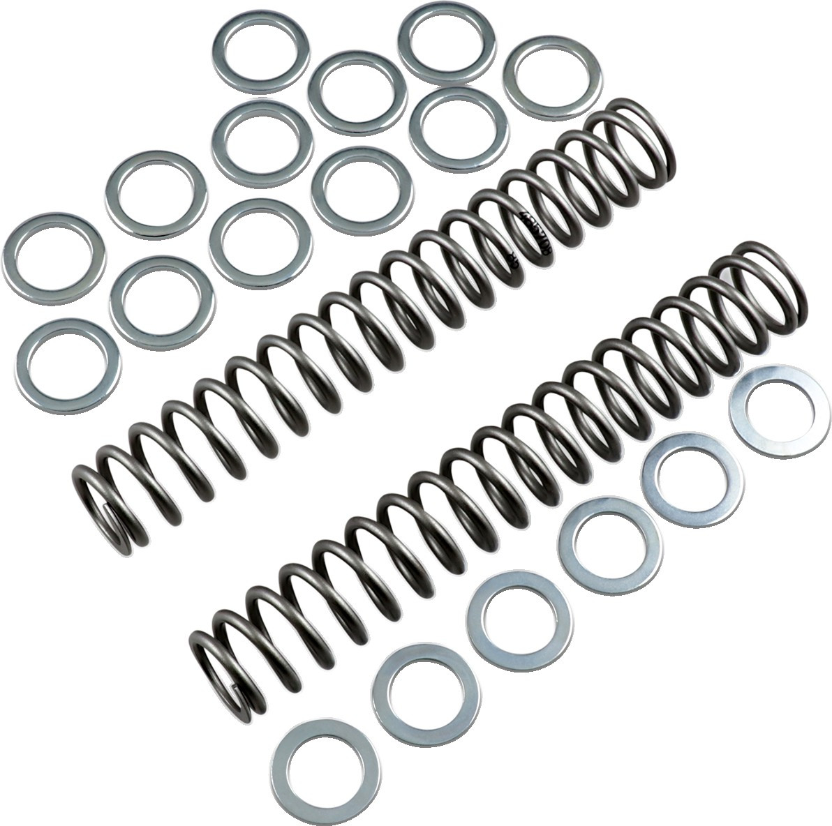 Race Tech FRSP S3825085