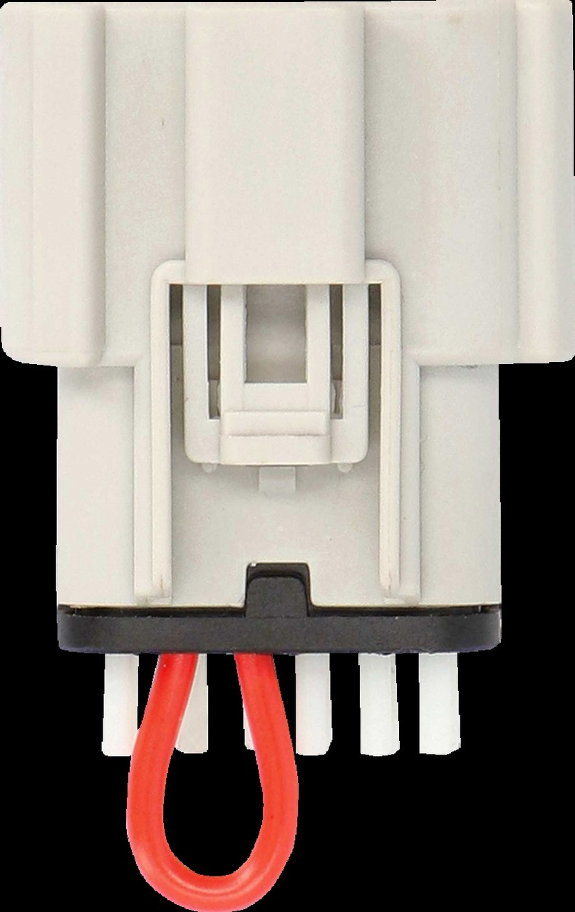 Saddle Tramp BC-9728