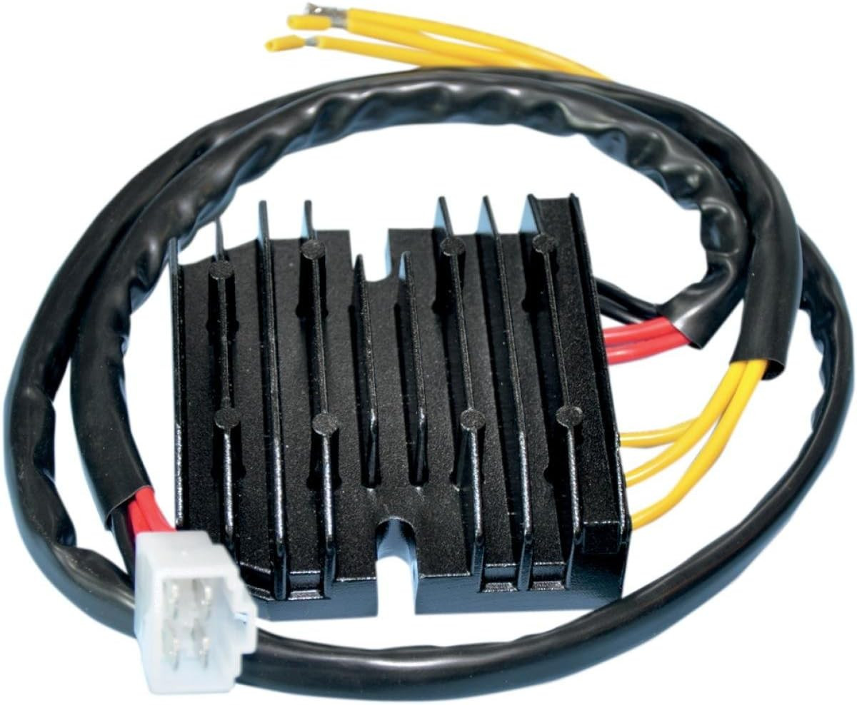 Ricks Motorsport Electrics 10-245