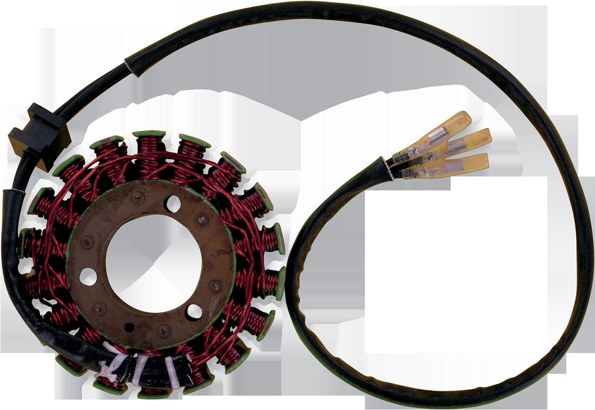 Ricks Motorsport Electrics 21-203