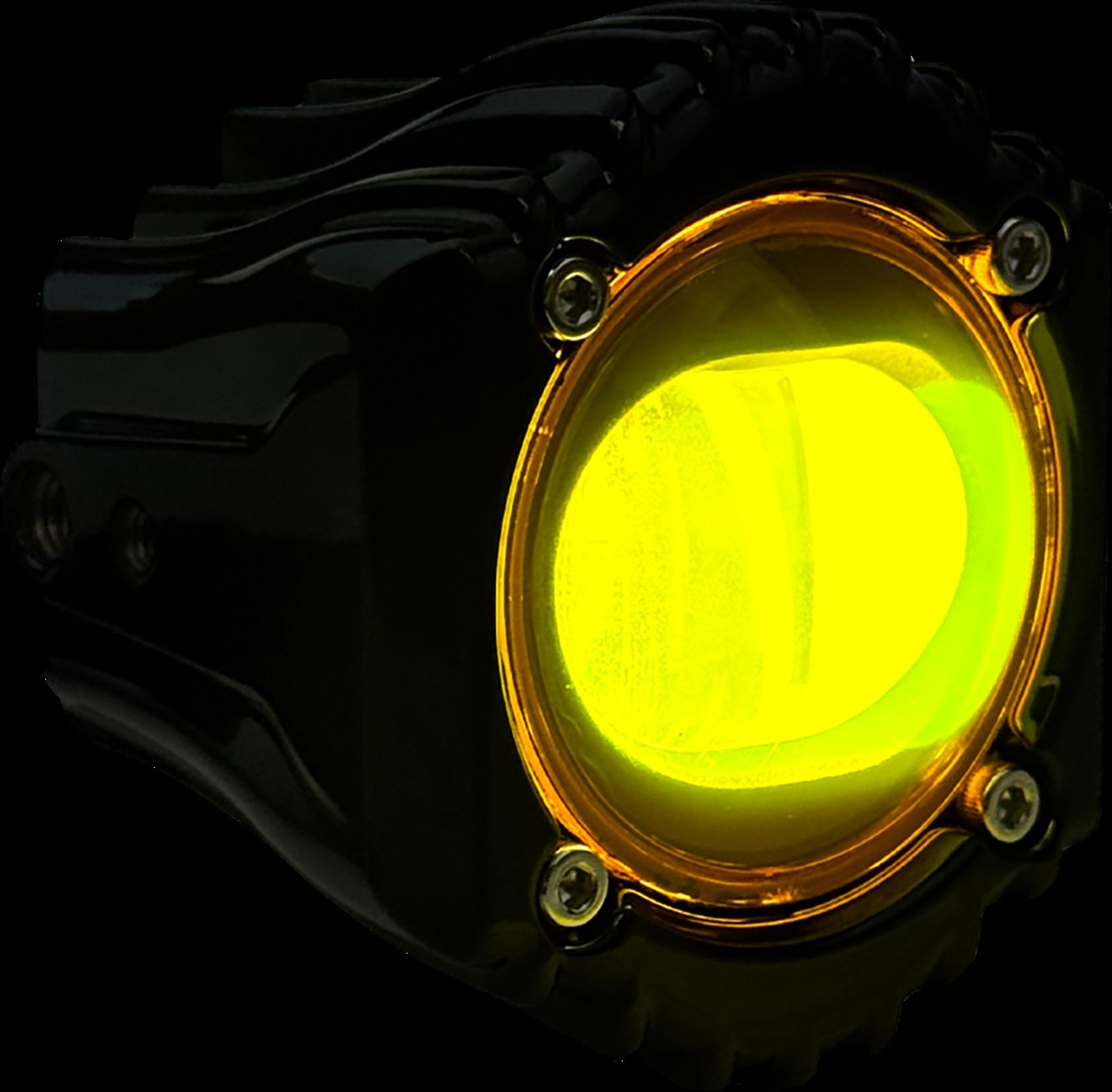 Custom Dynamics SD-FOG-OR-Y