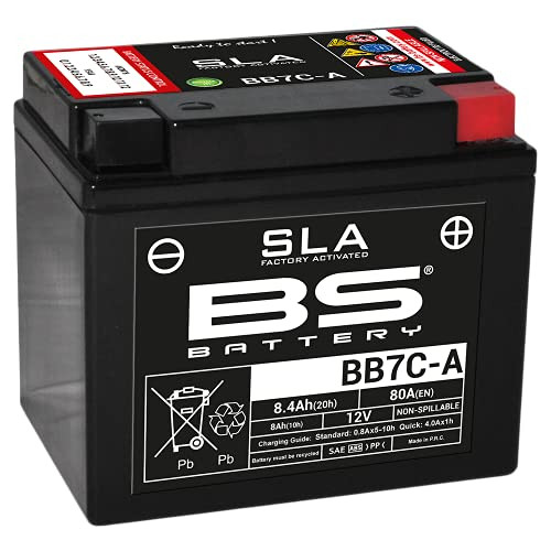 BS Battery 300843