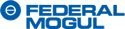 Federal Mogul 224101R