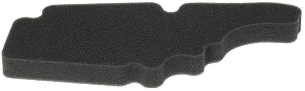 Hiflofiltro HFA5202DS