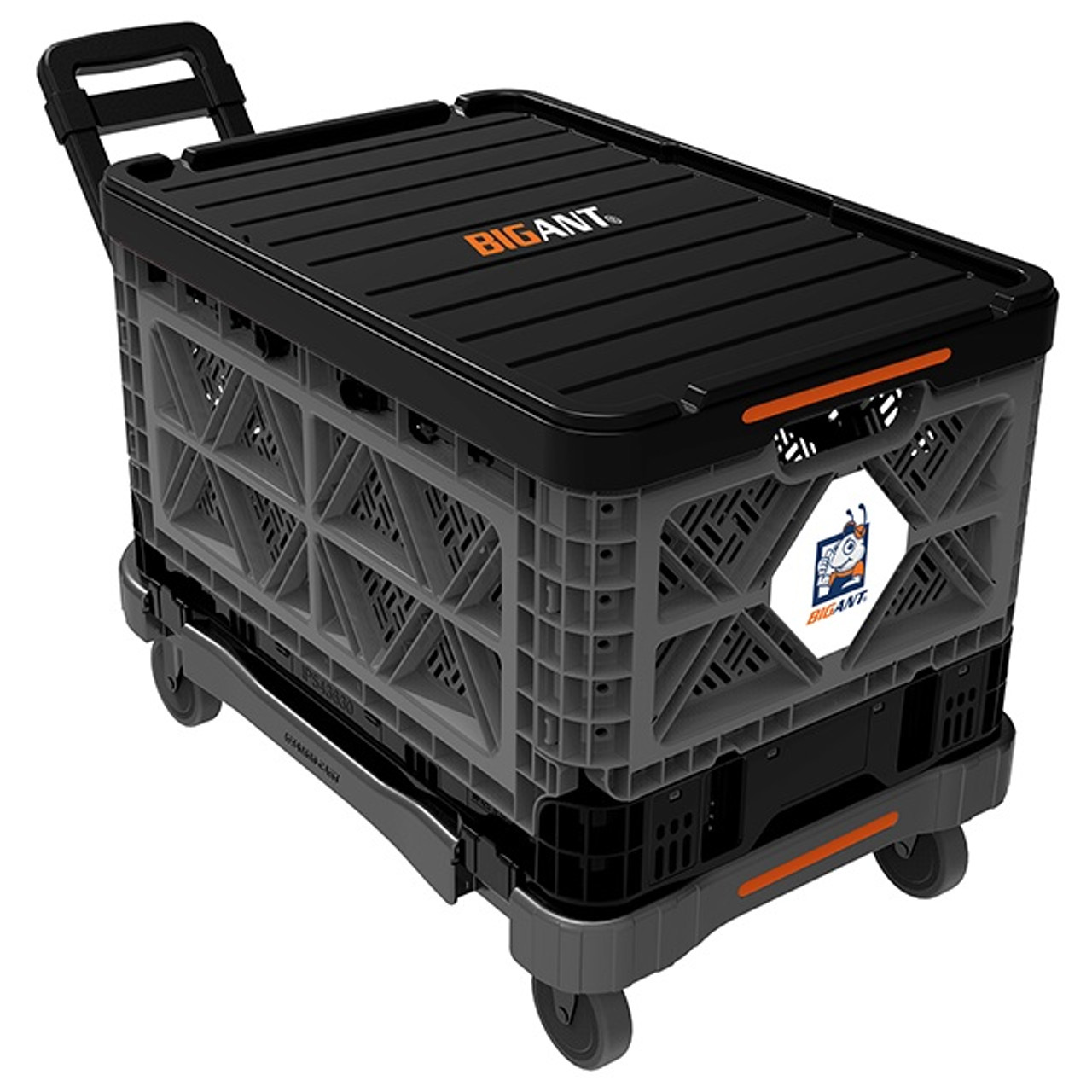 BigAnt H-IP54