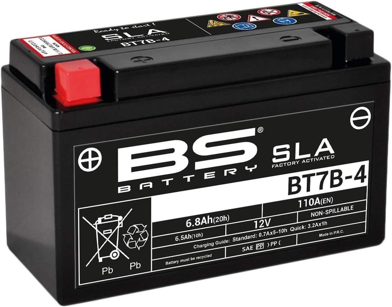 BS Battery 300641
