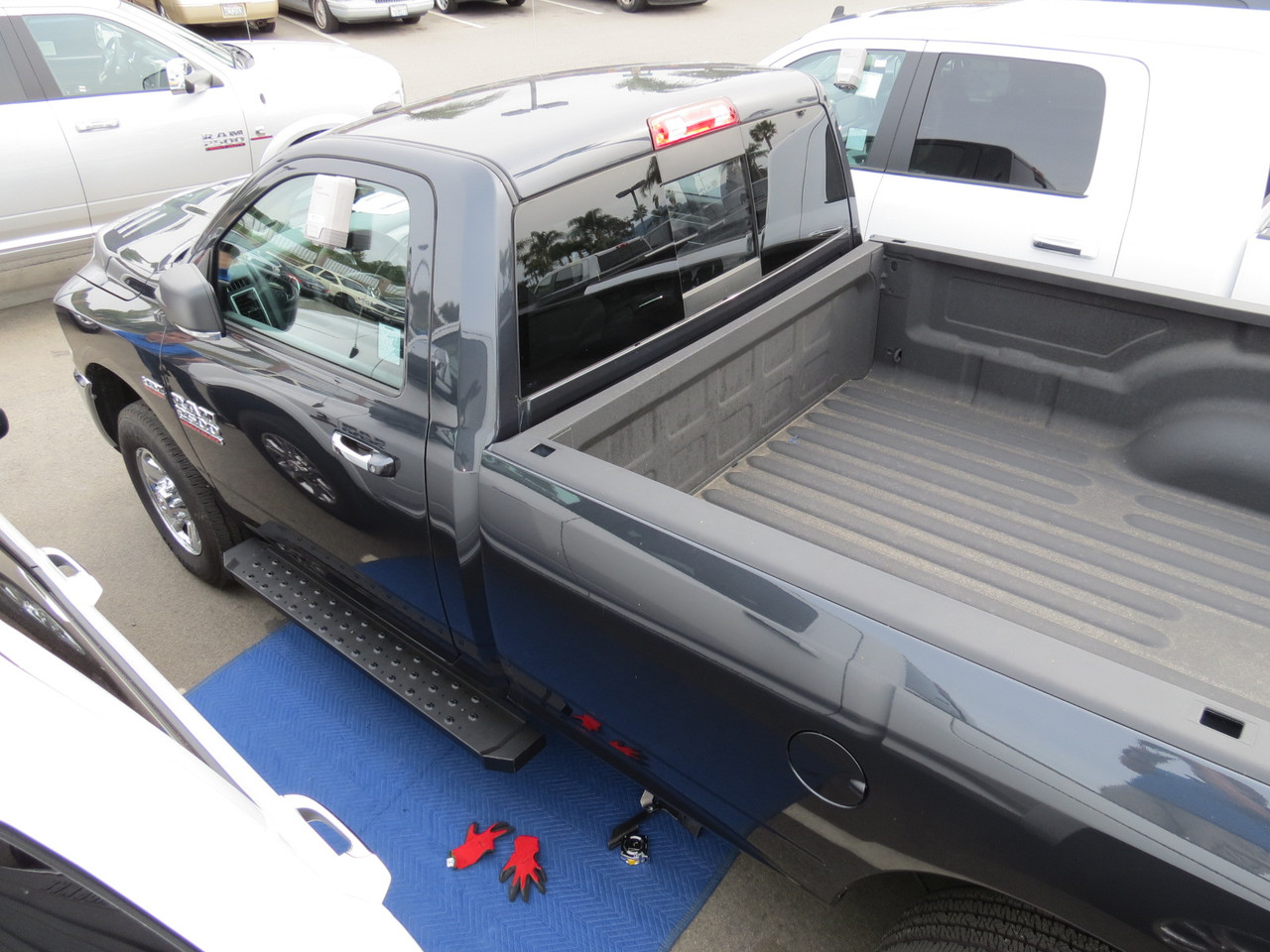 Trail FX RBW10B