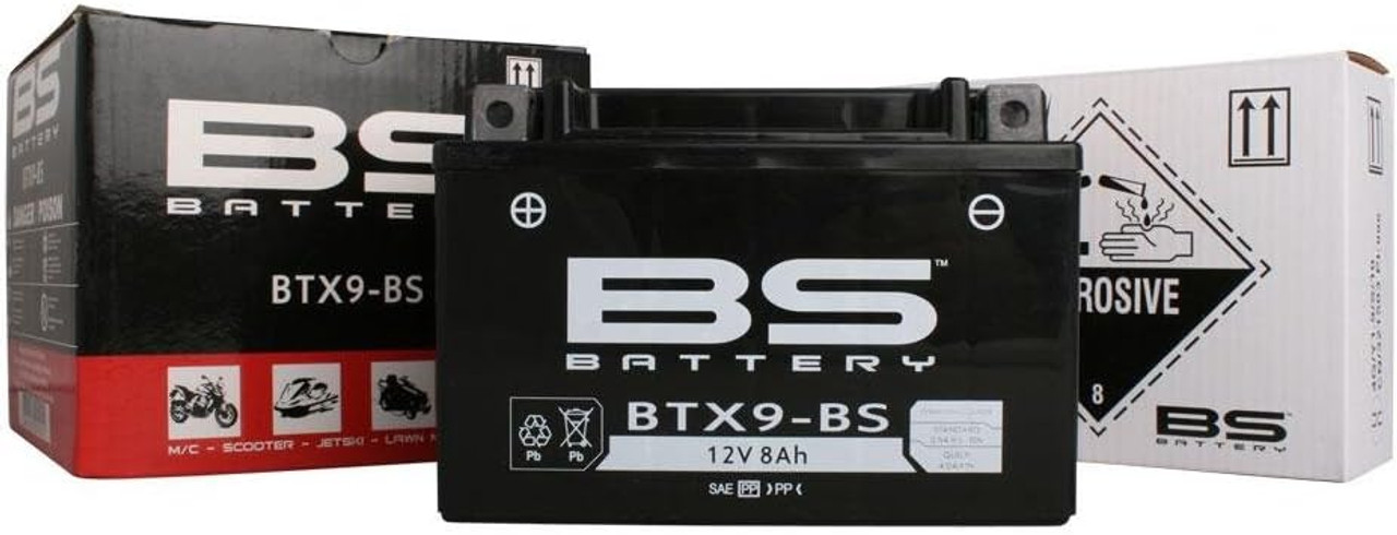 BS Battery 300604