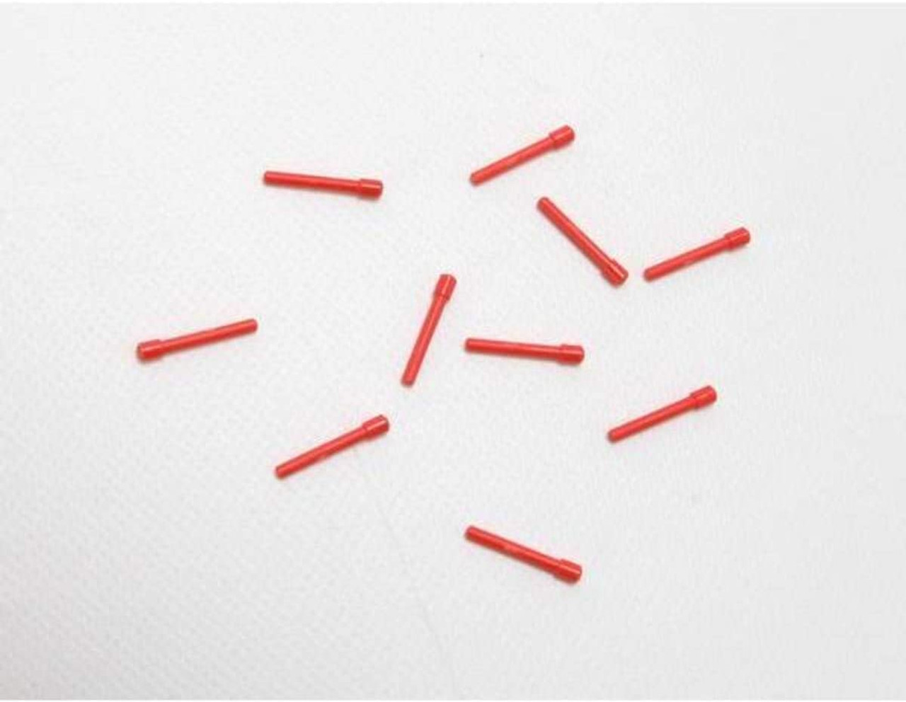 Namz Custom Cycle DTM-HP