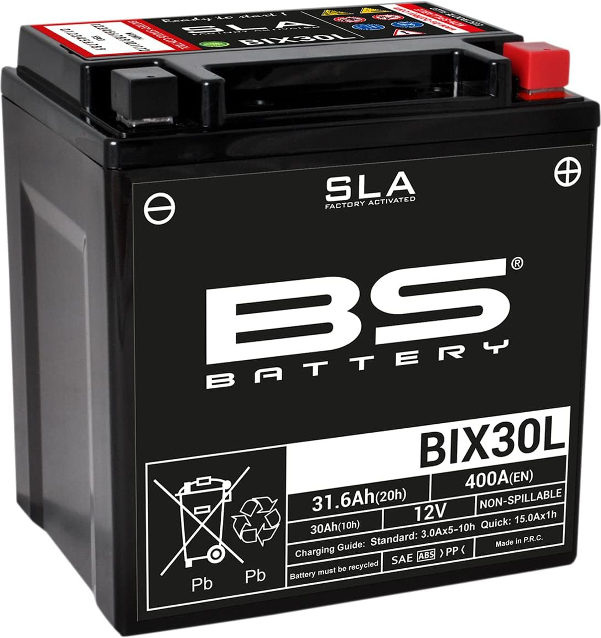 BS Battery 300631