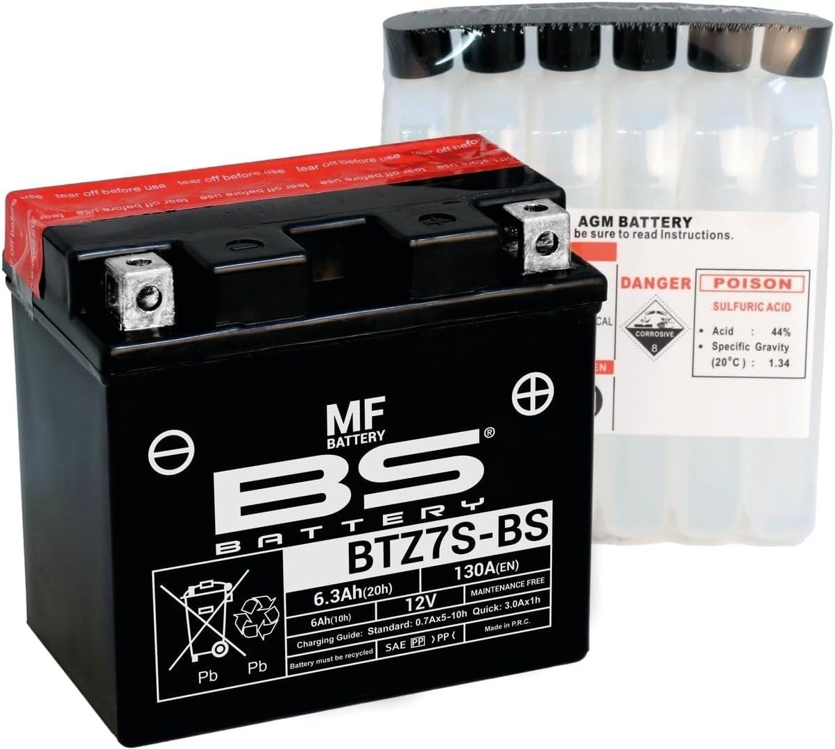 BS Battery 300695