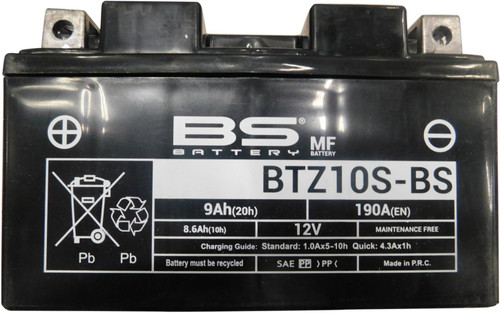 BS Battery 300696