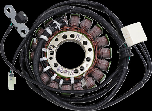 Ricks Motorsport Electrics 21-029