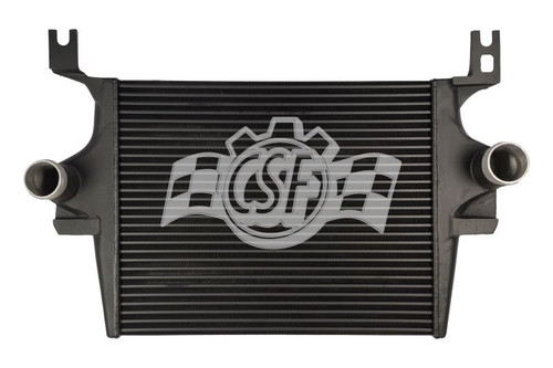 CSF 6013