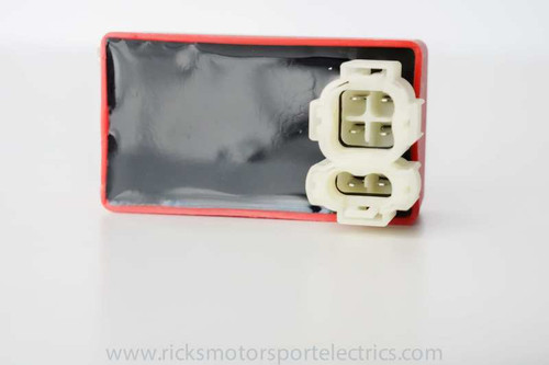 Ricks Motorsport Electrics 15-601
