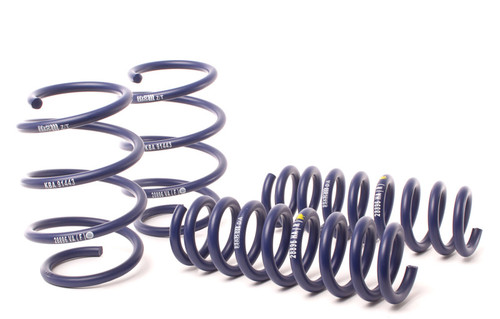 H/R Springs 28896-3