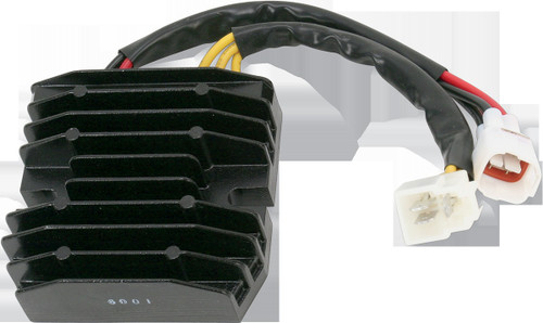 Ricks Motorsport Electrics 10-207