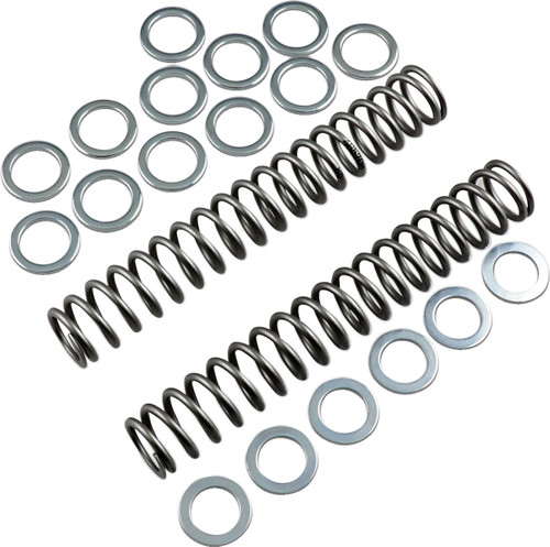Race Tech FRSP S3825085