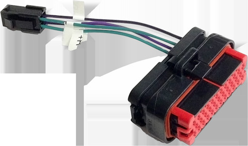 Hogtunes RR PLUG-AA