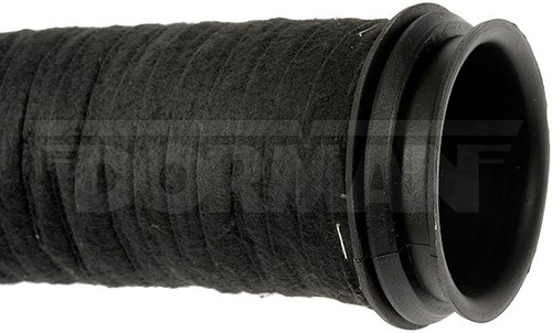 Dorman 696-012