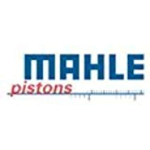Mahle 225-3673