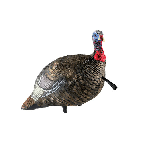 Avian X AVX8003