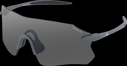 Bobster Eyewear BAER01