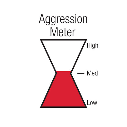 Black Widow Exhaust BWOOV3-22