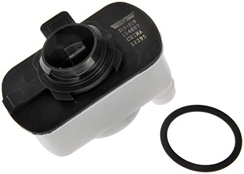 Dorman 310-219