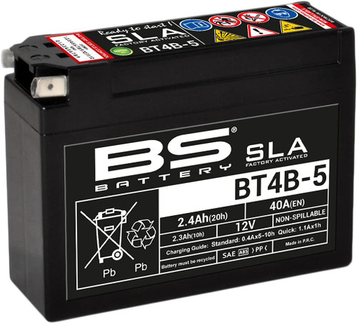 BS Battery 300621