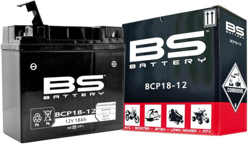 BS Battery 300628