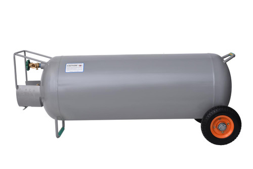 Flame King YSN100HOG