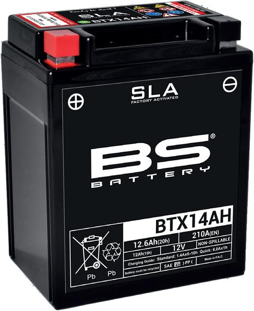 BS Battery 300758