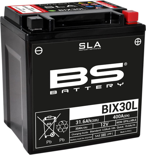 BS Battery 300631