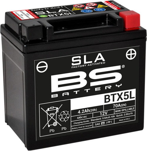 BS Battery 300670