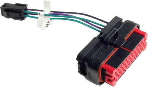 Hogtunes RR PLUG-AA