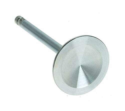 Federal Mogul V8007R