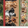 Furry Fun Dogs Puppies Stripe 4060C Cotton Quilting Fabric